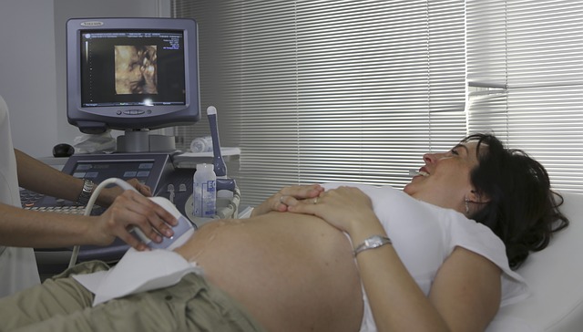 těhotná a lékařská konzultace.jpg